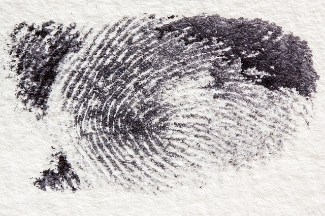 fingerprint