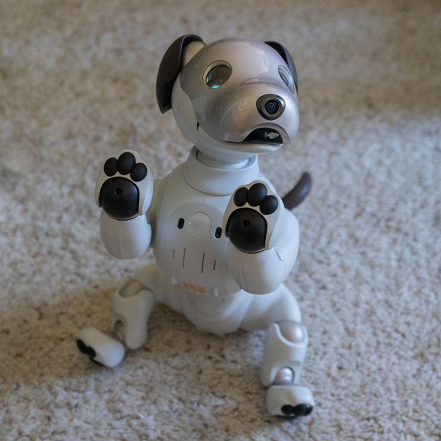 robot  