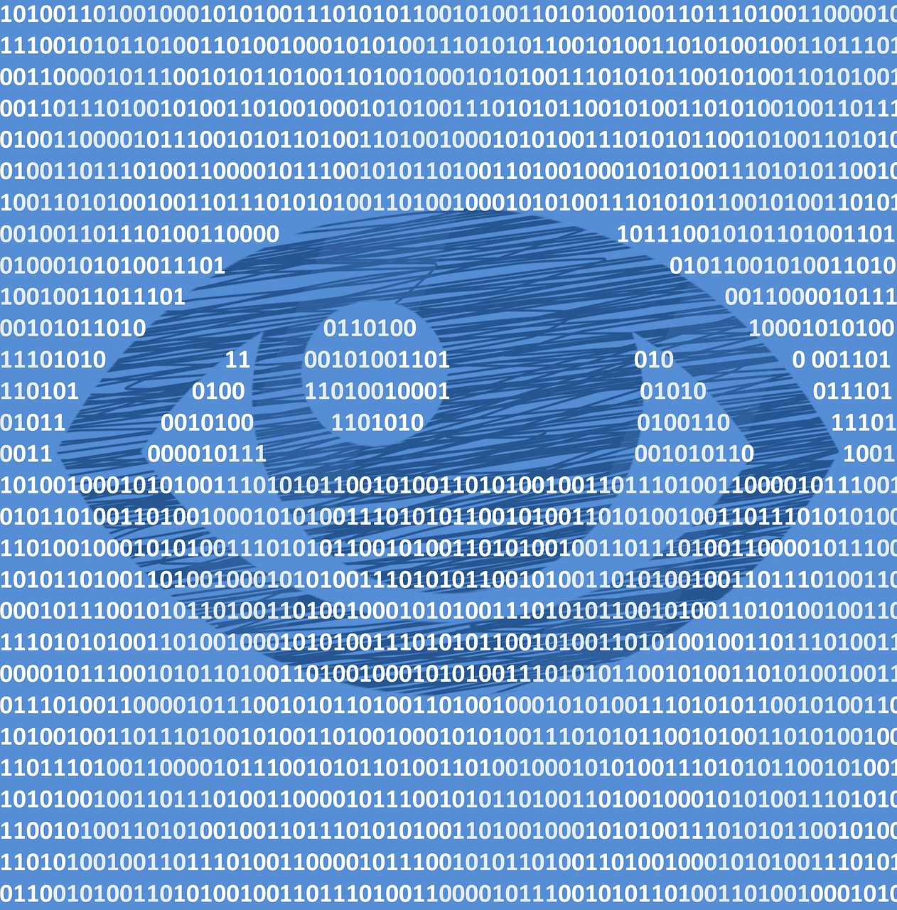 binary code privacy