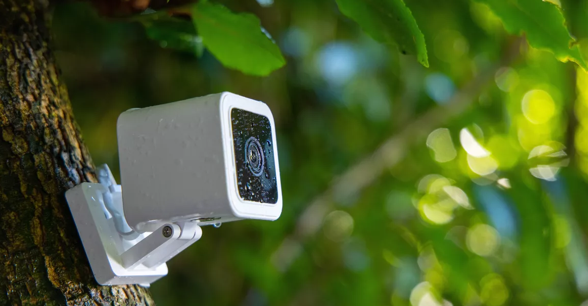 technology security